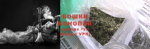 ешки Ельня