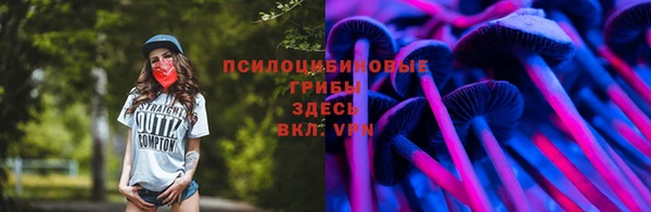 ешки Ельня