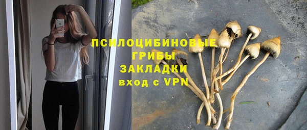 стаф Елабуга
