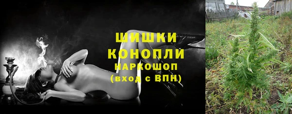 ешки Ельня