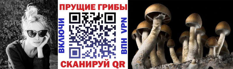 гидра вход  Нефтекамск  Галлюциногенные грибы GOLDEN TEACHER  даркнет сайт 